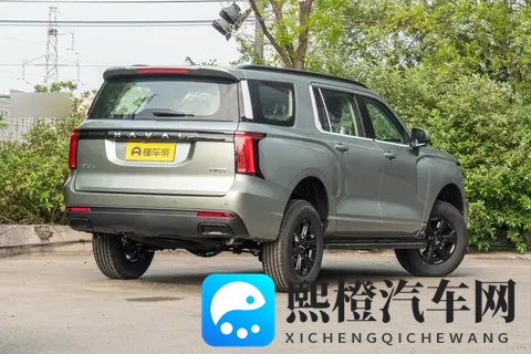 能拉货能越野,价格是坦克300的一半,配20T+8AT,分时四驱-3