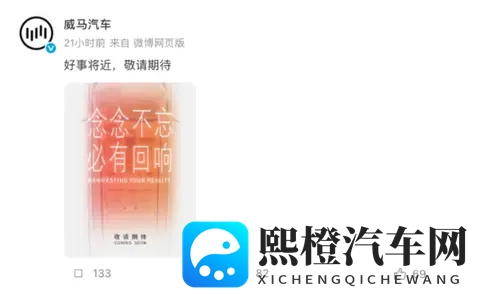 10W+威马车主“好事将近”？-3