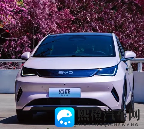 海豚优缺点大实话:买菜接娃超顺手,长途出行就露怯-1