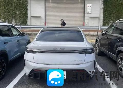 黄一区二区:汽车市场新动向:揭秘两大区域独特魅力-2