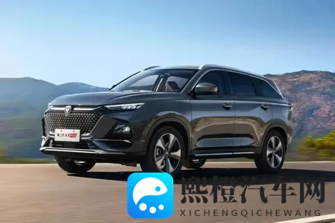 低价七座车盘点，价格不高，配置全面 过年回家全家都有座-3