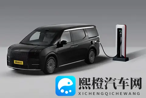 家庭商务通吃?极氪 009:800V +CCD+空悬 还有购车福利-2