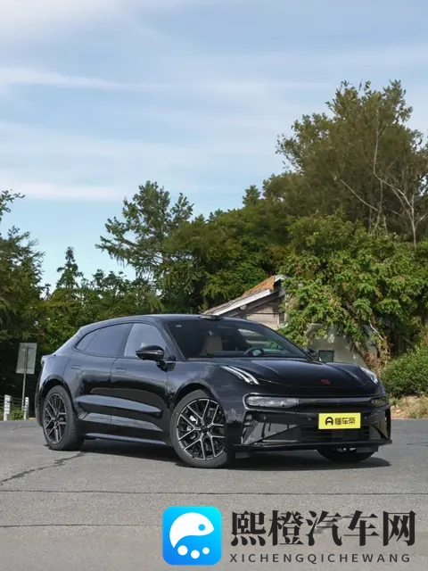 欧美白妮大战黑人大炮:汽车巅峰对决,谁将问鼎冠军?-1