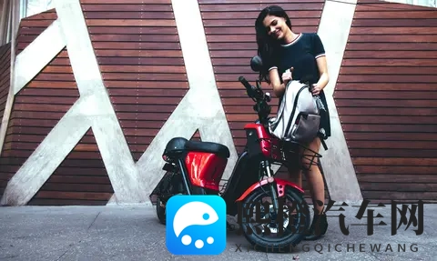 编译:2025 欧洲电动车市场、中国制造继续处于主导地位-3