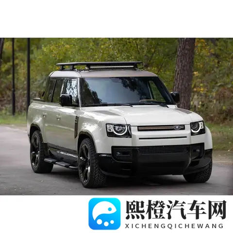 新款路虎卫士皮卡版亮相 造型个性 无惧15年报废期-2