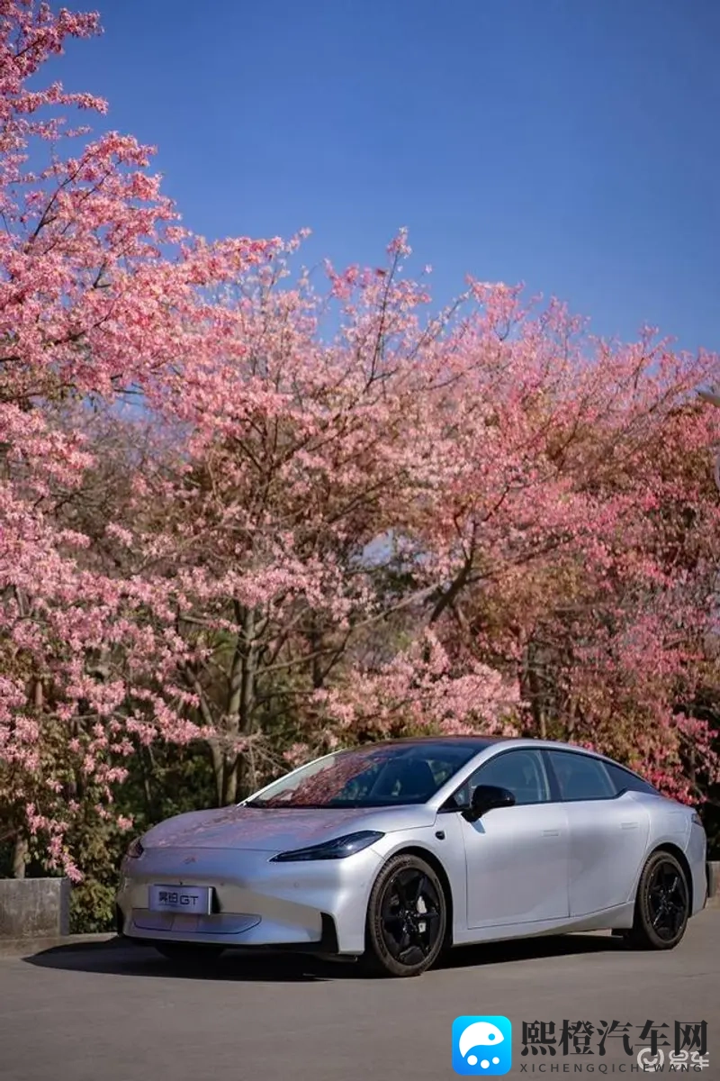 绿巨人网站:绿色巨人之家网站-2