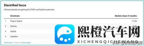 中国车欧洲斩获74%份额,为何德国市场仅29%?-1