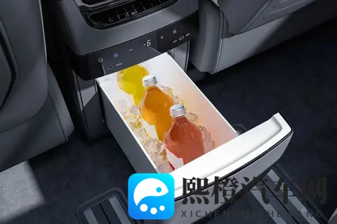 高端家用MPV怎么选？极氪009十一月购车福利来助力-3