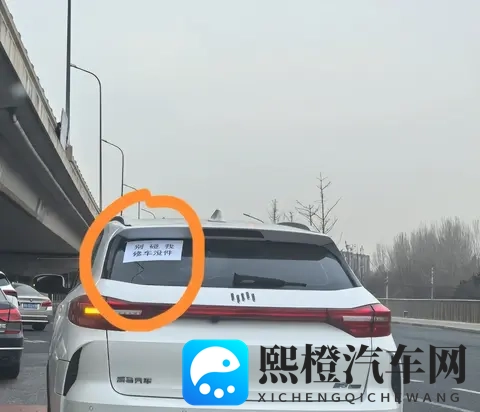 国精产品一区一区三区探花：精选产品各区竞艳，探花风采独领风骚-1