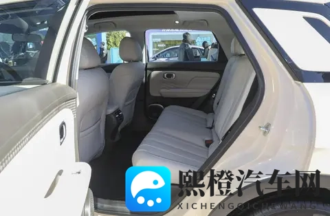 冰块加牛奶小黄花截图：汽车冷却液新潮流：牛奶冰块组合提升效率-2