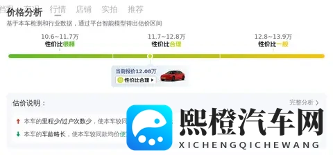 12万出头，体验纯电加速！21年特斯拉Model3代步优选-3
