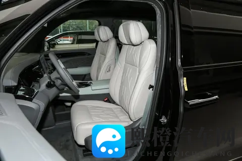 极氪 009：双十一给家人的豪华守护，适合家用的 MPV 选择-3