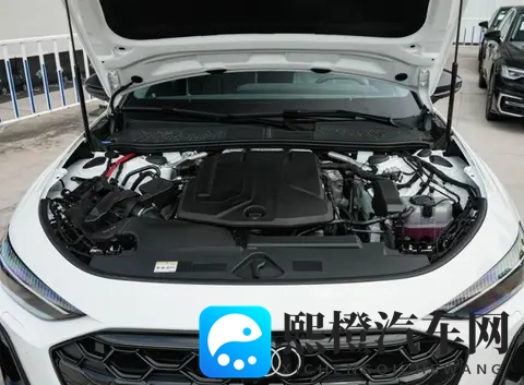 奥迪新车没白等,低功率不带电加速7X秒?采用半隐藏式门把手-3