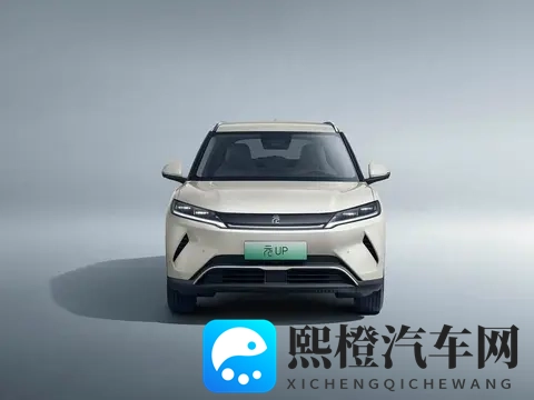 10万预算买纯电车,这五款“销量王”值得一看!-3