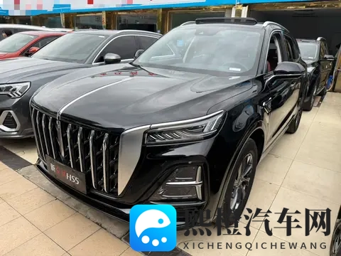 一手准新红旗HS5,11万多体验国产豪华SUV-3