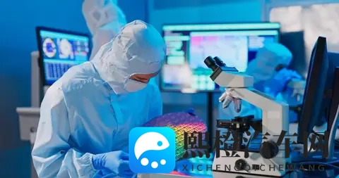 荷兰“认输”归还安世还不够,必须严惩荷兰安世高层-2