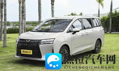 73万起配侧滑门，五菱星光730三动力齐上，家用MPV真香吗-2