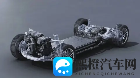 aqdyfe 社保片：社保福利解读：aqdyfe精彩呈现-2