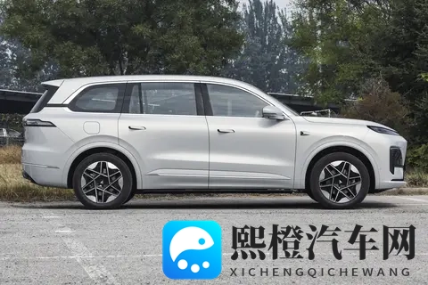 深蓝S09与魏牌蓝山对比，30万预算，六口之家该怎么选？-3