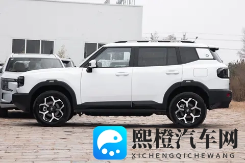 15万混动SUV选它不后悔?四驱+索尼音响,油耗低空间大-2