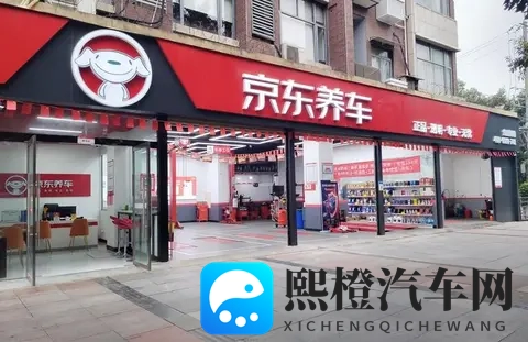 租电购买价499万元，京东“国民好车”真的香吗？-3