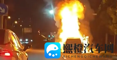 理想MEGA召回背后:一个小瓶子里的蝴蝶风暴-1