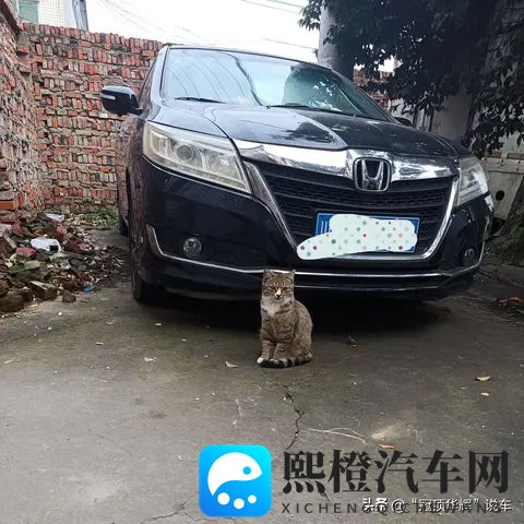 韩系车在中国卖不动了,全球却年销723万,这矛盾太真实-2