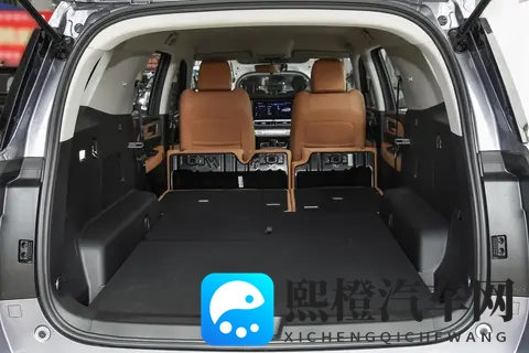 能拉货能越野,价格是坦克300的一半,配20T+8AT,分时四驱-1