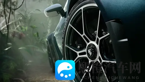 以自然景观为定制开发灵感,保时捷911 GT3 ‘Ocelot’正式发布-3