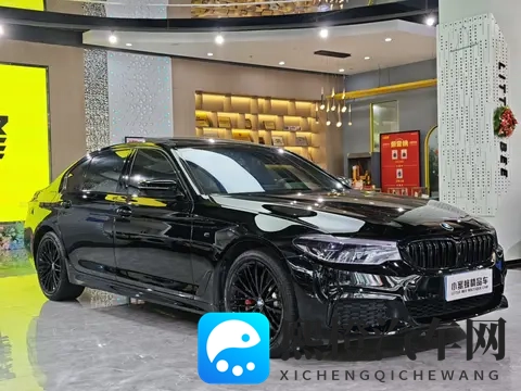 开了3年,打了骨折的宝马5系,落地近50万现在只要一半?-2