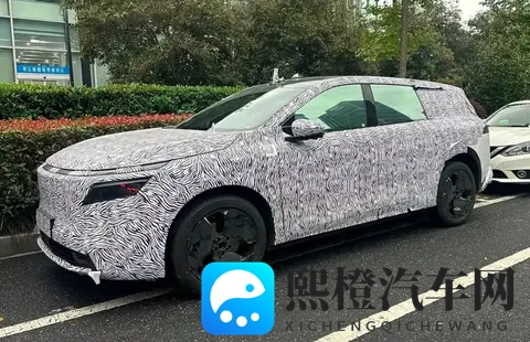 配副驾屏_提供激光雷达_或为中大型SUV 日产N8最新谍照曝光-3