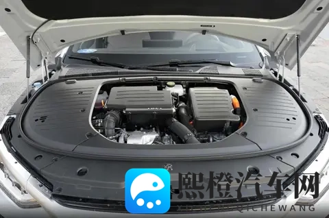 啊啊啊啊啊网站：激动不已，探索神秘网站之旅-2