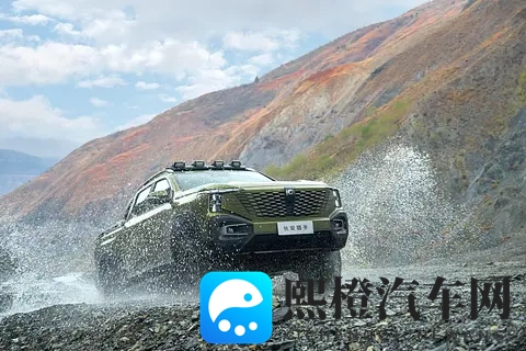 皮卡市场销量企稳 高端化与新能源成看点-1