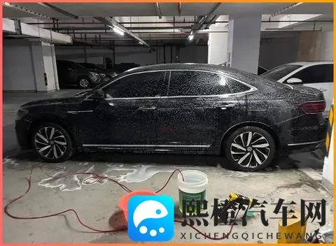 张柏芝被揉到高潮喷了一床小说:新能源汽车崛起,未来出行新变革-3