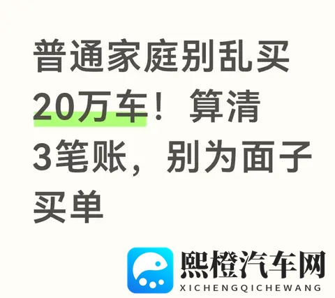 普通家庭别乱买20万车！算清3笔账，别为面子买单-1