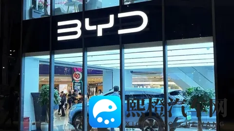 卖得越多，赚得越少？比亚迪最新财报为何充满矛盾？-1