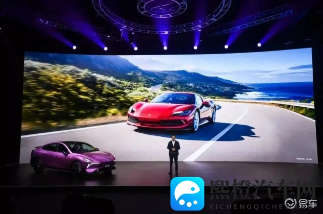 欧美人与人动人物2020:2020欧美人物互动动物精彩瞬间-1