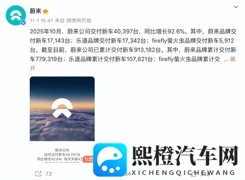10月车企销量 黑马零跑破7万,巨头比亚迪狂揽44万-3