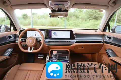 23 万级东方豪华标杆?红旗 H9 全系配置解析与购车建议-2