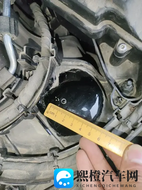 蓬莱山花样年华EP16:《蓬莱仙山,时光流转,音乐之旅第16章》-3