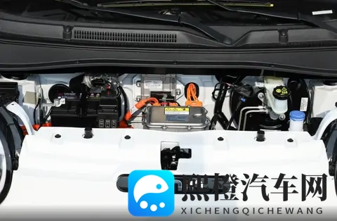 她扒下内裤让我爽了一夜A片:她主动脱衣,一晚欢愉难忘-3