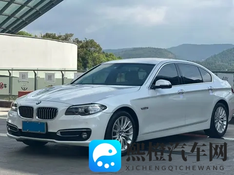 十年宝马5系，10万出头，圆你豪华品牌梦？-3