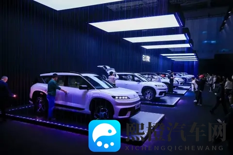 月销量不足万，现代的中国困局靠换人能解决？-3