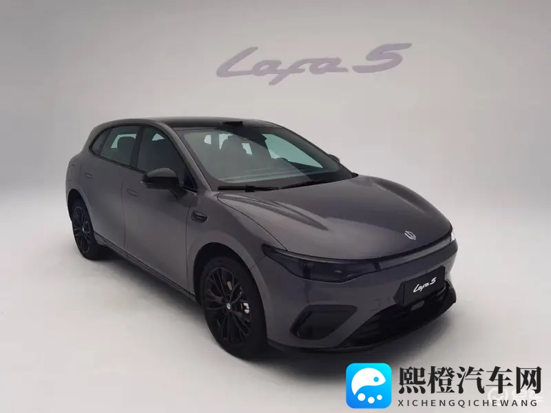 姬小满被操：新能源汽车风云：揭秘行业巨头决策背后的真相-2