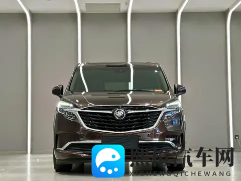 宜商宜家好选择，一手别克GL8陆尊版-1