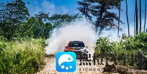 棉签+冰块+牛奶+酒精的作用：汽车内饰焕新秘籍，一招告别顽固污渍-3