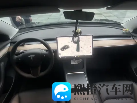 三年省一半？4万公里一手特斯拉Model3值不值？-2