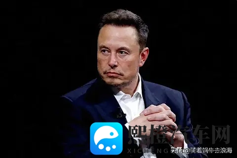 马斯克:特斯拉的灵魂人物?光环之下,是神坛还是火药桶?-2