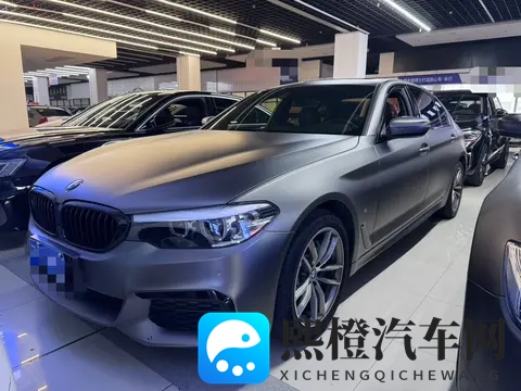 51张警犬9分10秒头撞玻璃:警犬连续撞击玻璃,画面震撼,时长达9分10秒-2