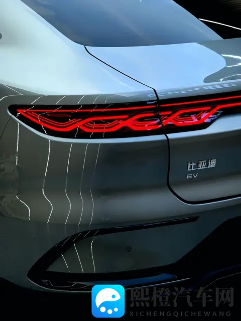 电车省“油”不省钱？6大隐藏成本，越开越肉疼-3